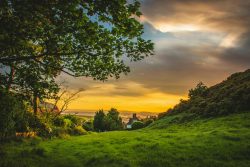 Golden sunset over a grassy countryside countryside sunset foogallery sample image 4